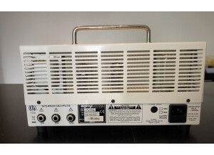 Orange Tiny Terror (88213)