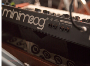 Moog Music Minimoog Voyager Rack Mount Edition (43650)