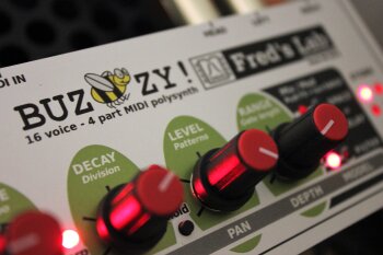 Buzzzy_2tof 07.JPG Buzzzy_2tof 07.JPG