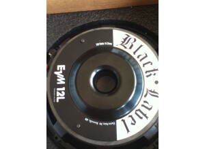 Electro-Voice EVM-12L Black Label