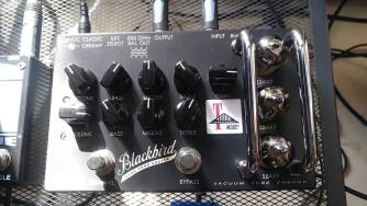 Effectrode Blackbird