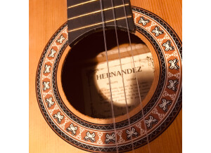 Hernandez Guitars cg-510