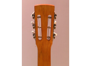 Gibson Dobro Bois DW90 (25086)