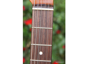 Fender Made in Japan Mahogany Offset Telecaster (20124)
