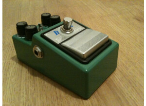 Ibanez TS9DX - Flexi 4x12 - Modded by Keeley