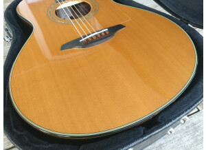 Furch G23-CR Cut (84866)