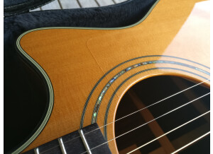 Furch G23-CR Cut (47845)