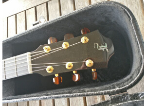 Furch G23-CR Cut (53753)