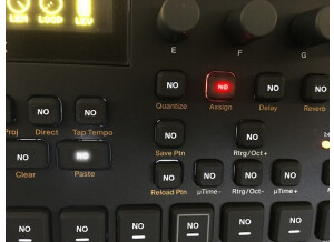 Elektron Analog Four MKII (37583)