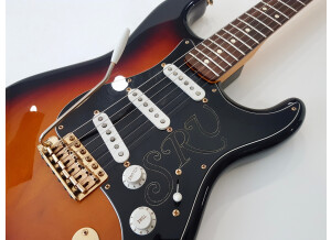 Fender Stevie Ray Vaughan Stratocaster (85336)