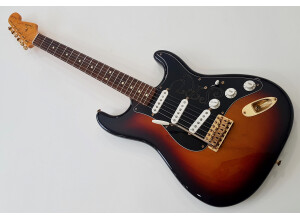 Fender Stevie Ray Vaughan Stratocaster (77477)