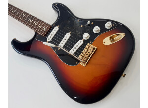 Fender Stevie Ray Vaughan Stratocaster (92552)