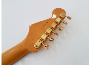 Fender Stevie Ray Vaughan Stratocaster (55732)