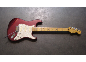 Fender Standard Stratocaster [1990-2005] (4249)