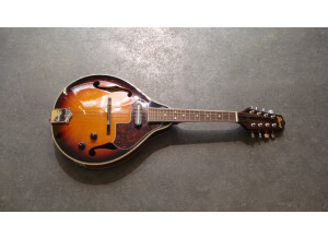 Ibanez M510E (35077)