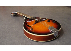 Ibanez M510E (87708)