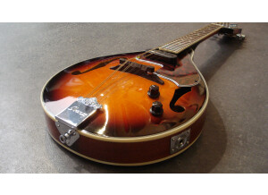 Ibanez M510E (60825)