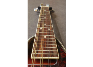 Ibanez M510E (73813)