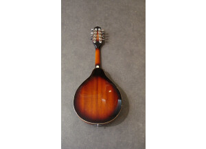 Ibanez M510E (36256)