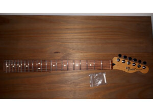 Fender Telecaster & Stratocaster Neck / Manche (66714)