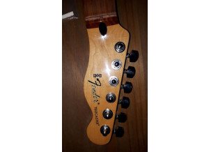 Fender Telecaster & Stratocaster Neck / Manche (29993)