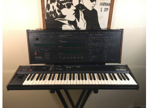 Sequential Circuits Prophet T8 (58541)