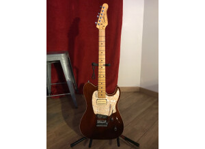 Godin Session Custom LTD (34829)