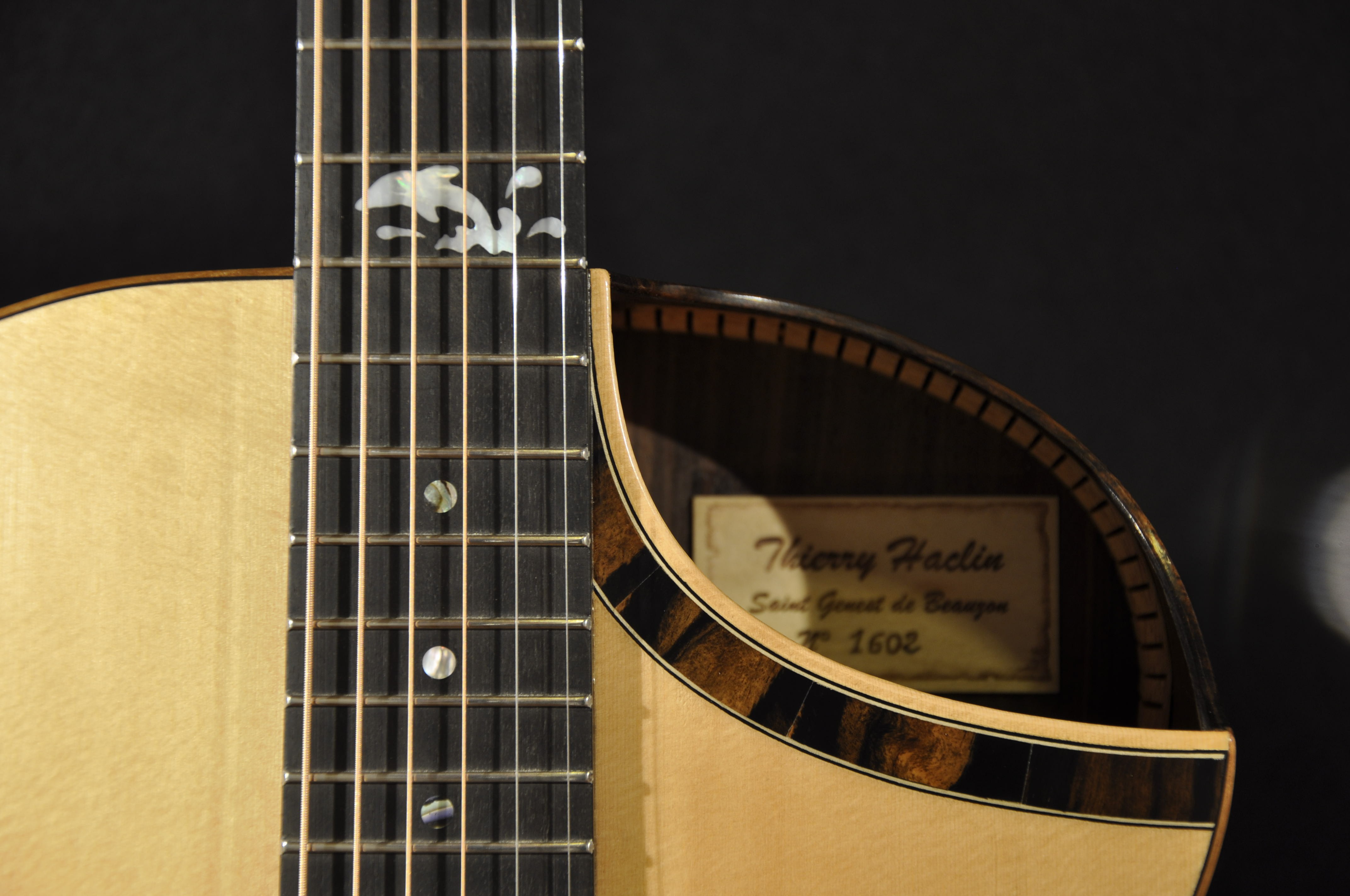 Luthier Thierry Haclin La palisandre