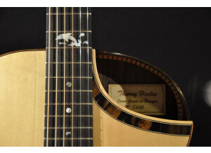 Luthier Thierry Haclin La palisandre (29573)