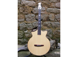 Luthier Thierry Haclin La palisandre (68191)