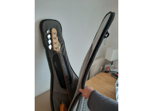 G&L Tribute JB-2 (8473)