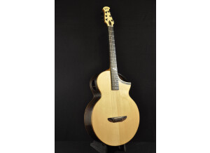 Luthier Thierry Haclin La palisandre (48225)