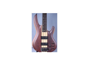 ltd basse