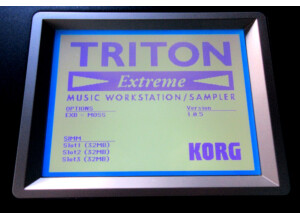 Korg-triton88-extreme-Moss-03