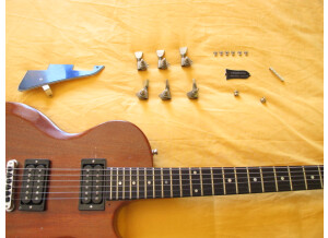 Gibson The Paul (88147)