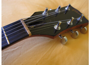 Gibson The Paul Firebrand (44985)