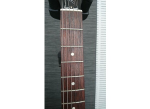 Gibson Les Paul Junior Faded (31324)