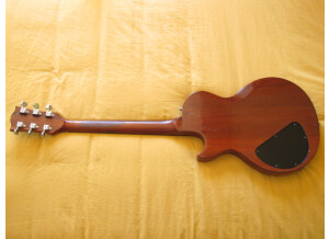 Gibson The Paul Firebrand (18100)