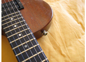 Gibson The Paul Firebrand (65252)
