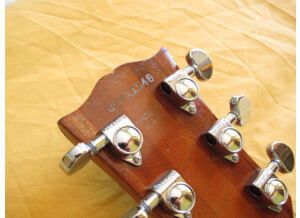 Gibson The Paul Firebrand (67957)