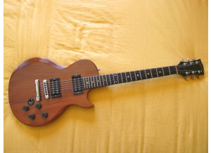 Gibson The Paul Firebrand Deluxe (53551)