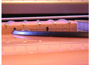 Fender Special Edition Lite Ash Telecaster (27894)