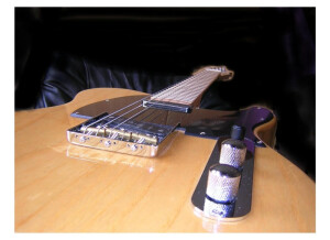 Fender Special Edition Lite Ash Telecaster (97998)