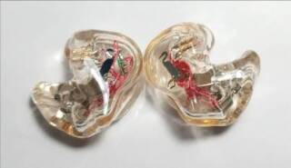 Erdre Audio EA B601 IN EAR MONITORS