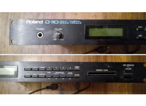 Roland D-110 (34409)