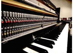 Yamaha U1 (69698)