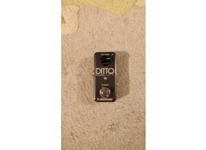 TC Electronic Ditto Looper (22565)