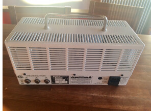 Orange Tiny Terror (40129)