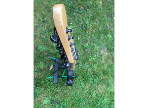 Metla Stratocaster (43849)