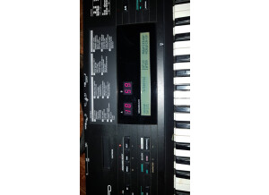 20191020_172505-1024x1820